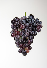 Isolated bunch of grapes