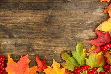 Naklejka na ściany i meble Autumn background with leaf on a wood