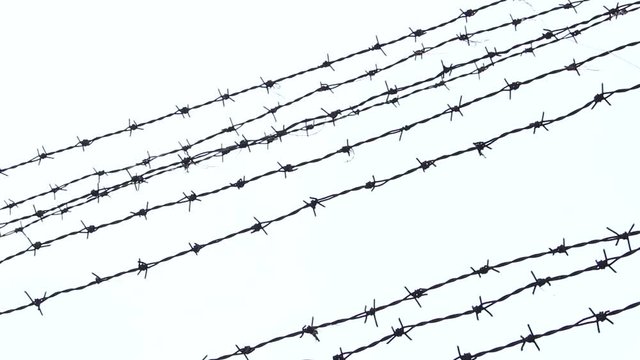 barbed wire on isolated