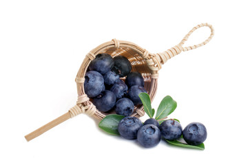 Blueberry. Two fresh blueberries with leaves isolated on white background. With clipping path.