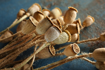 Dried poppy heads on table, closeup
