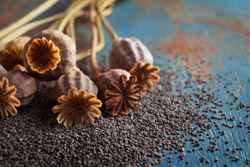 Obraz na płótnie Canvas Dried poppy heads and seeds on table, closeup