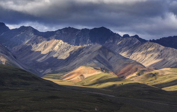 Denali (Mount McKinley) national park, Alaska, United States