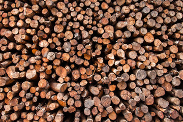 Natural wooden background - closeup of chopped firewood.