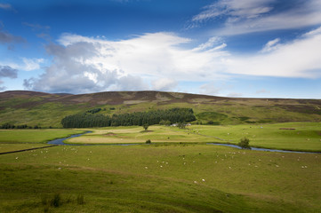 Fototapeta na wymiar Beautiful farm with animals and a river in the Highlands of Scotland, United Kingdom