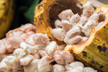 Cocoa beans and cocoa pod on a wooden surface.