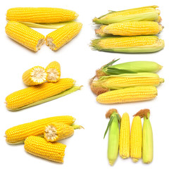 Corn with skin or without skin isolated on white background. A collection of corn. Top view, flat