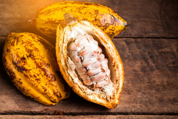 Cocoa beans and cocoa pod on a wooden surface.