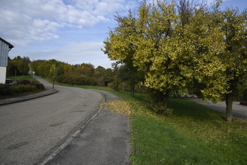 herbst, baum, strauch, gras, wiese, green, road, strasse, asphalt, haus, batt, laub, abfallen, bunt, farbe, gelb, himmel, blau, cloud, landschaft, gegend, fahrbahn, land, europa, anreisen, way, strass