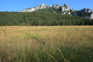 pyrenean meadow in Aude, Occitanie in South of France