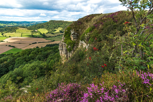 Sutton Bank Landscape