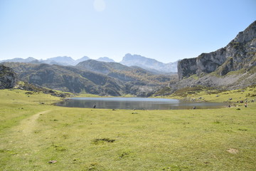 LAGOS DE CAVADONGA