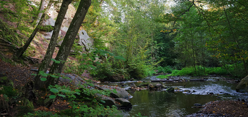 Obraz premium ru des Vaux de Cernay en vallée de Chevreuse
