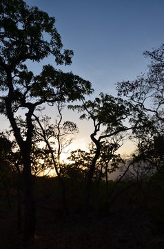 The African landscape. Cameroon