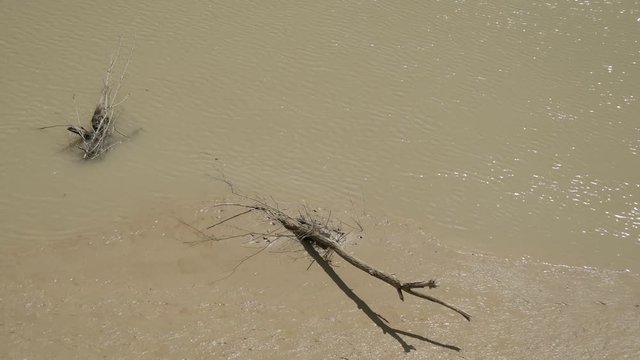 Acqua e fango nel fiume