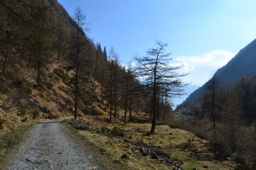Strada di montagna sterrata 