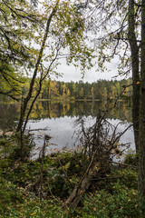 Obraz premium Beautiful autumn forest near the water