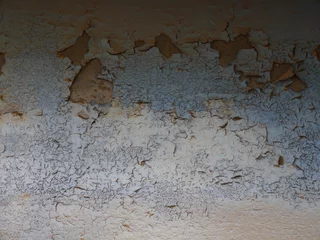 texture © Christina