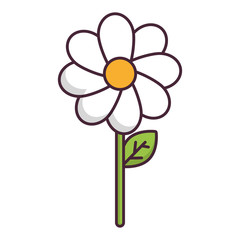 beautiful flower icon