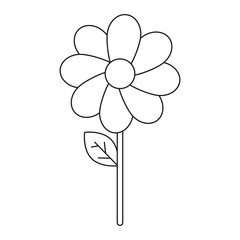 beautiful flower icon