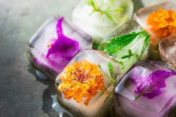 Homemade Ice Cubes with Frozen Herbs Plants Flowers Facial Skin Care Beauty Spa Anti Aging Concept Black Stone Background Copy Space