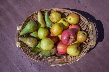 Fruit basket with red and yellow Apples and some Pears