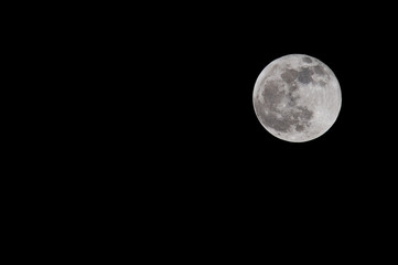 Image of full moon with visible surface