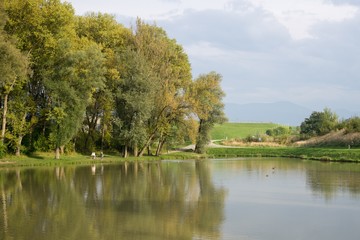 Trees reflections in water of lake. Slovakia