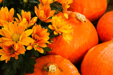 Colorful pumpkins at a country fair