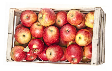 apples in wooden box isolated on white