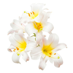 Obraz na płótnie Canvas Bouquet of beautiful white lily flowers isolated on white background. Flat lay, top view