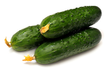 Cucumber isolated on white background. Flat lay, top view
