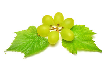 Fresh green grapes branch isolated on white background. Creative concept of fruit, butterfly shape....