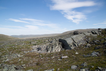 Fototapeta na wymiar Landscape at the Nature Reserve Ráisduottarháldi, Norway, summer 