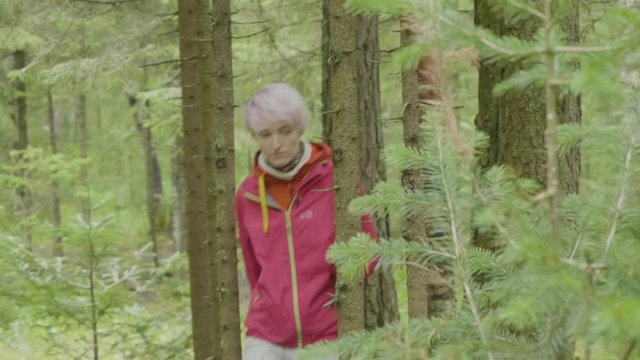 Beautiful girl walking in the wood. Young woman walking in the woods