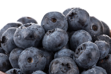 blueberries isolated close up