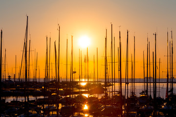 rows of boats mast