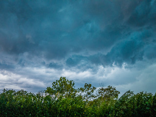 Fototapeta premium Black and white effect of thunderstorm clouds over bushes, Belluno, Veneto, Italy