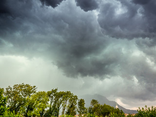 Thunderstorm clouds over trees and bell tower, Belluno, Veneto, Italy