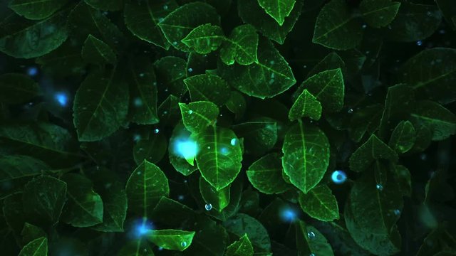 Fluorescent plants. Chemically modified leaves, shine at night. Watered with chemical water with a bright color. 