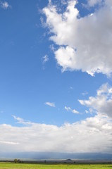 Obraz premium The African landscape. Kenya