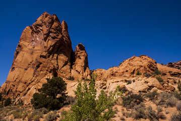 Fototapeta premium Varnish on the Sandstone in Capital Reef National Park