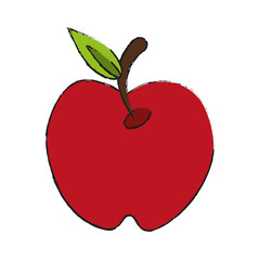 apple fruit icon image vector illustration design