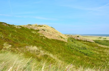 Fototapeta premium Landscape with sand dunes