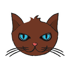 cat face icon image vector illustration design