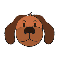 dog pet face icon image vector illustration design