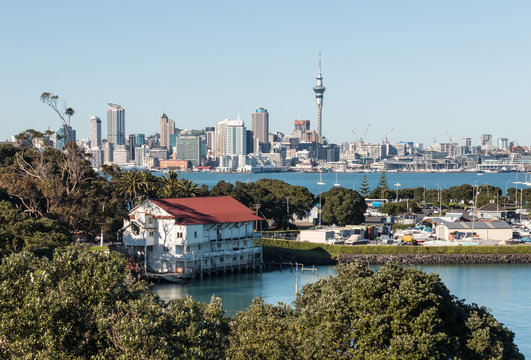 Auckland skyline with copy space