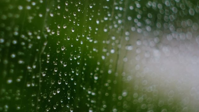 Raindrops Running Down A Window Pane