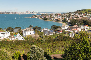 aerial view of Devonport suburb and Auckland CBD, New Zealand