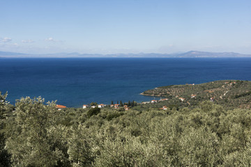 Griechisches Küstendorf, umsäumt von Olivenhainen